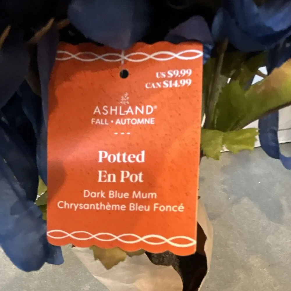 Ashland Potted Dark Blue Mum Artificial Flowers Bundle of 2